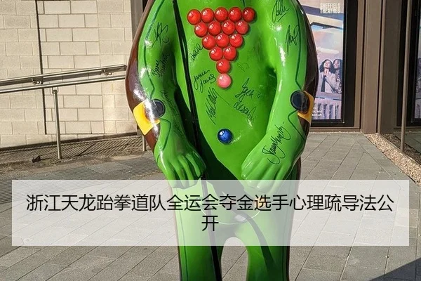 浙江天龙跆拳道队全运会夺金选手心理疏导法公开