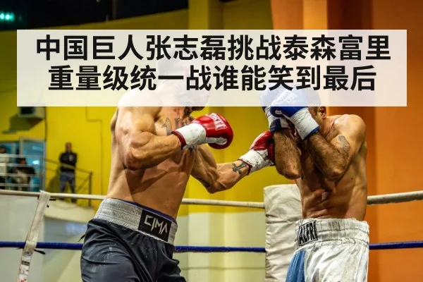 heavyweight boxing match